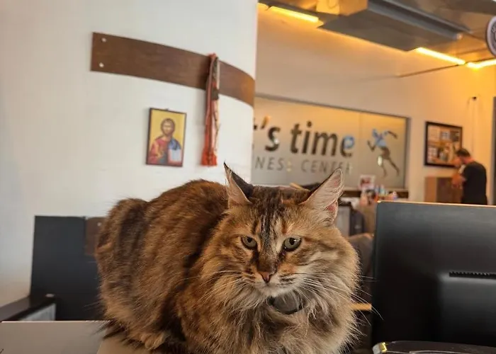 Apartmán Ithaki Phinikoudes No. 205