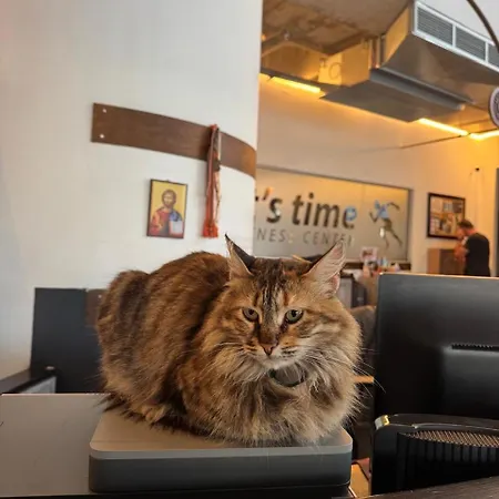 Appartement Ithaki Phinikoudes No. 205